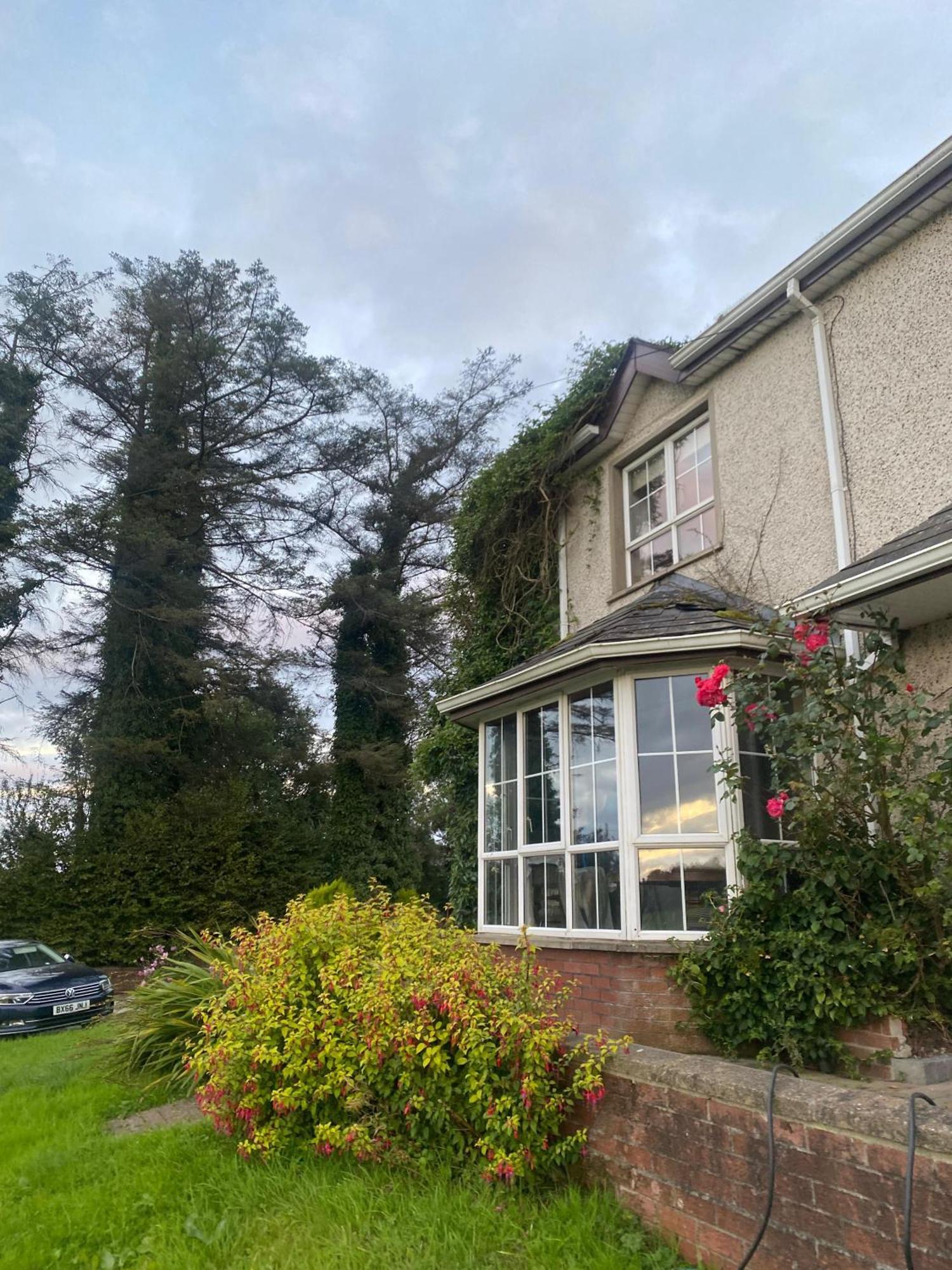 Dulrush Lodge Guest House, Restaurant And Self-Catering Belleek Exterior photo
